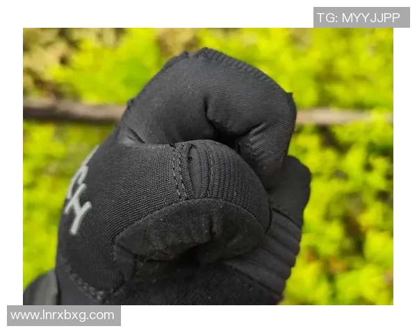 战术手套品牌推荐与选购指南助你提升战斗力和舒适度